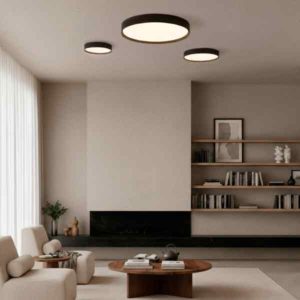 Plafón LED redondo Minsk varias dimensiones CCT Multipower