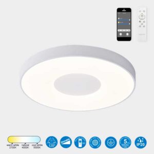 PLafón LED redondo Coin blanco