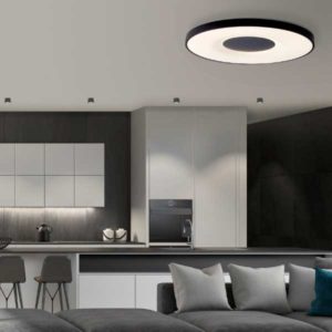 PLafón LED redondo Coin negro contexto