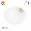 Downlight spot LED empotrable Swap Asymmetric regulable DIM Triac Blanco