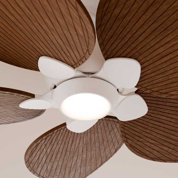 alma_ventilador_con_luz_03.jpg