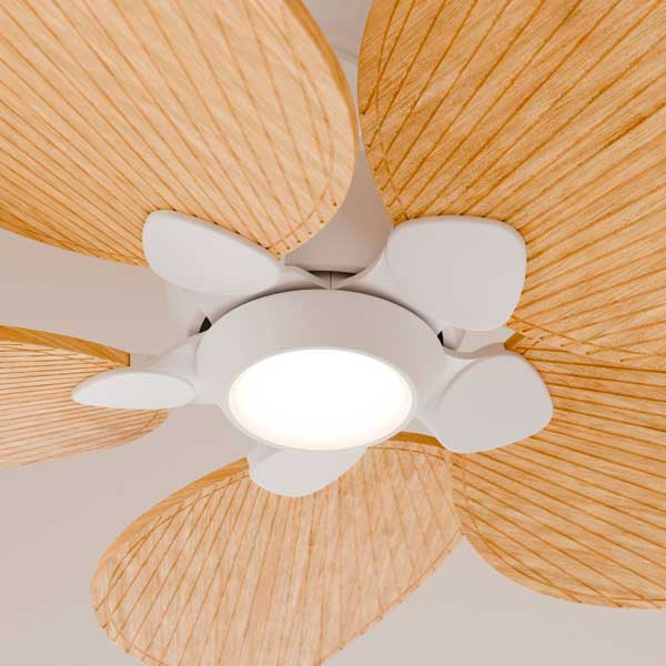 alma_ventilador_con_luz_04.jpg