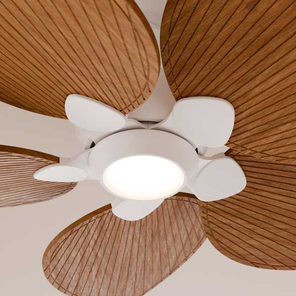 alma_ventilador_con_luz_media02.jpg