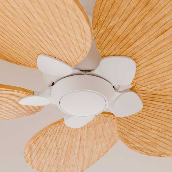 alma_ventilador_sin_luz_04.jpg