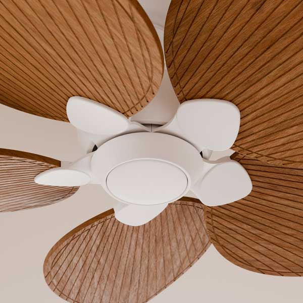 alma_ventilador_sin_luz_media02.jpg
