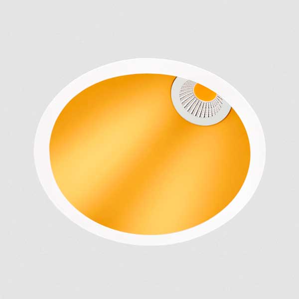 downlight_swap_asym_06.jpg
