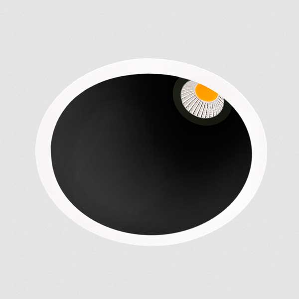 downlight_swap_asym_09.jpg
