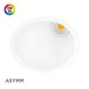 Downlight spot LED empotrable Swap Asymmetric ON/OFF Blanco