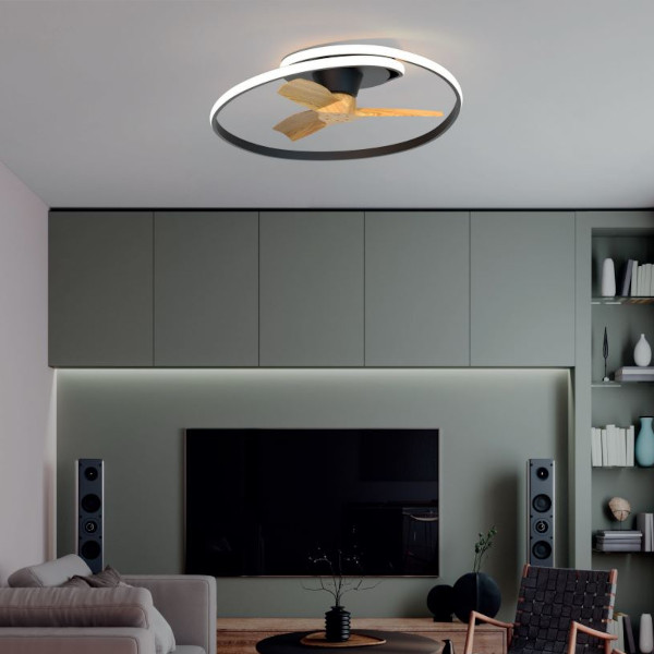 ejemplo-ventilador-de-techo-ocean-negro.jpg