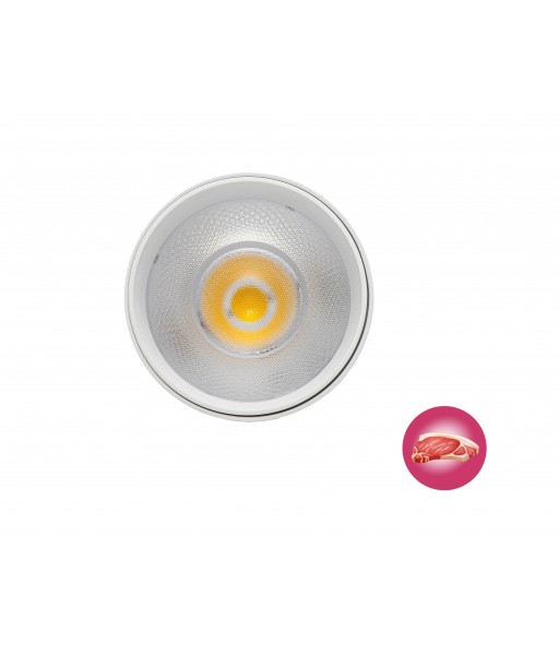 foco-de-carril-trifasico-30w-carne-lente.jpg