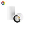 Foco orientable iO LED 4.5W superficie