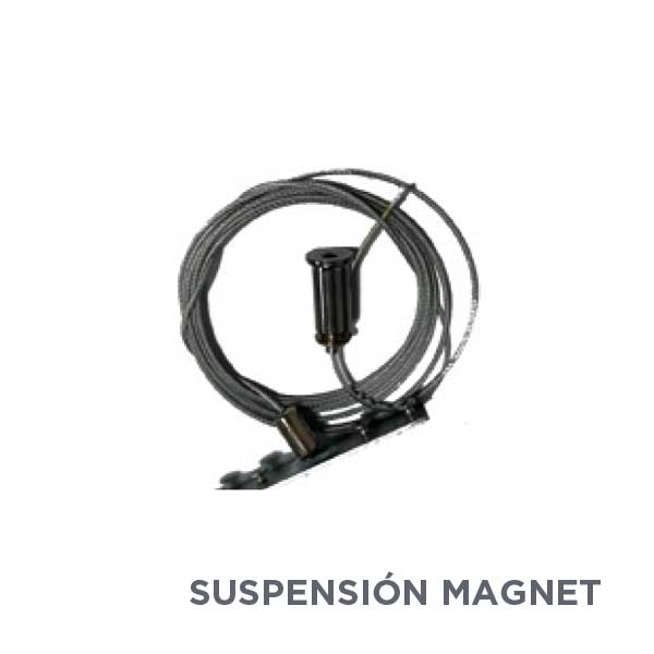 suspension_carril_magnetico_48v.jpg