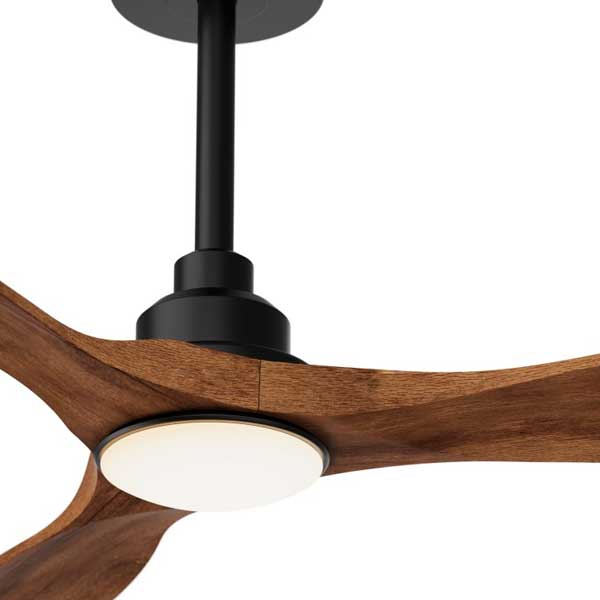 ventilador_carla_07.jpg