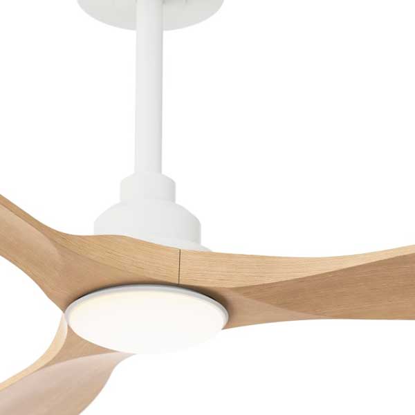 ventilador_carla_08.jpg