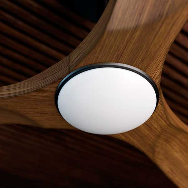 ventilador_carla_11.jpg