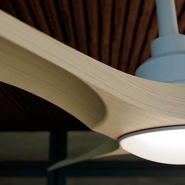 ventilador_carla_12.jpg