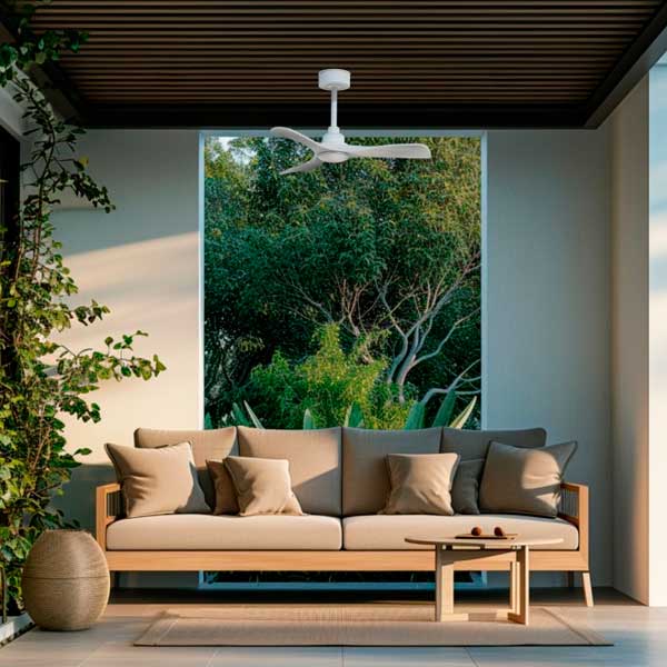 ventilador_carla_13.jpg