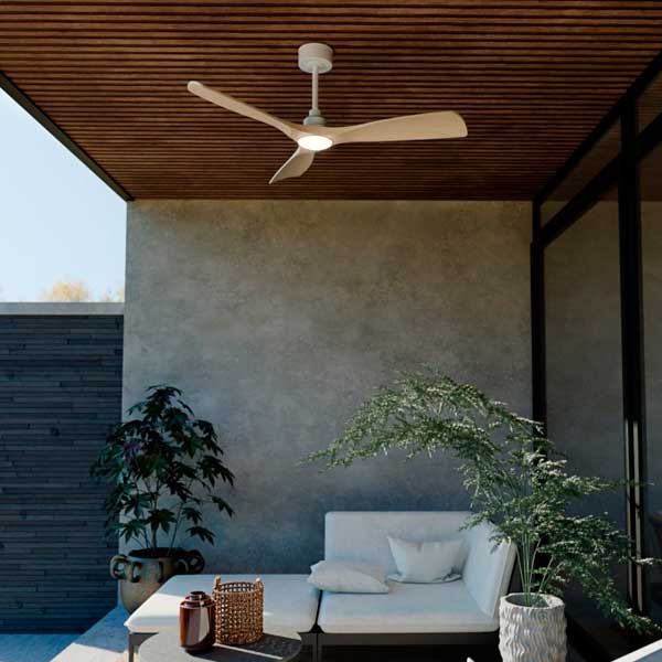 ventilador_carla_l_05.jpg
